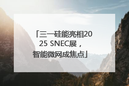 三一硅能亮相2025 SNEC展，智能微网成焦点
