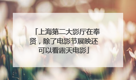 上海第二大影厅在奉贤，除了电影节展映还可以看露天电影