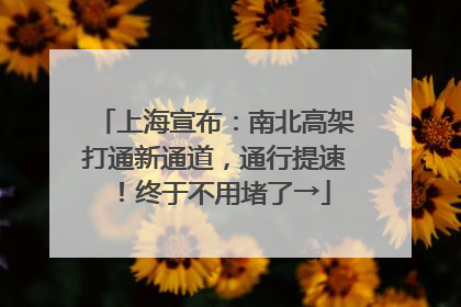 上海宣布：南北高架打通新通道，通行提速！终于不用堵了→