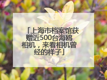 上海市档案馆获赠近500台海鸥相机，来看相机曾经的样子
