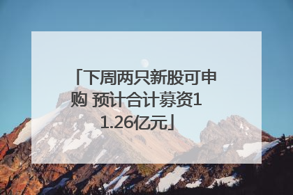 下周两只新股可申购 预计合计募资11.26亿元