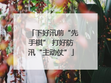 下好汛前“先手棋” 打好防汛“主动仗”