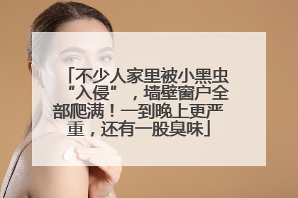 不少人家里被小黑虫“入侵”，墙壁窗户全部爬满！一到晚上更严重，还有一股臭味