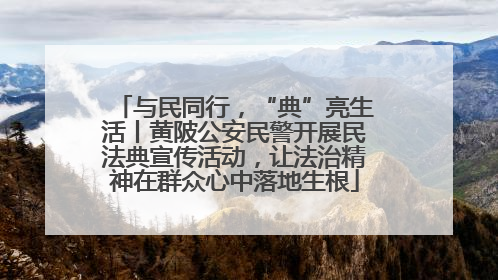 与民同行，“典”亮生活丨黄陂公安民警开展民法典宣传活动，让法治精神在群众心中落地生根