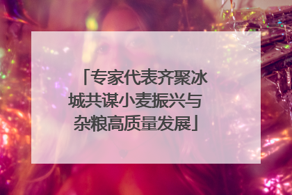 专家代表齐聚冰城共谋小麦振兴与杂粮高质量发展