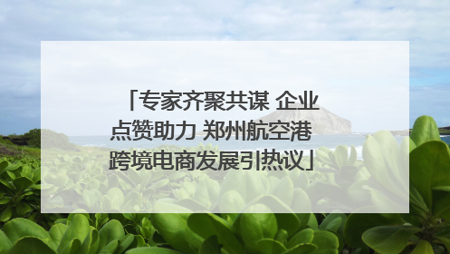 专家齐聚共谋 企业点赞助力 郑州航空港跨境电商发展引热议