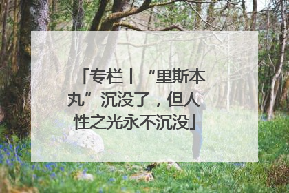 专栏丨“里斯本丸”沉没了，但人性之光永不沉没