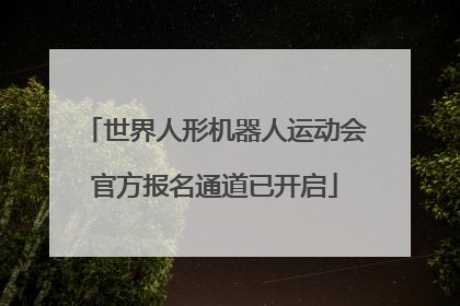 世界人形机器人运动会官方报名通道已开启