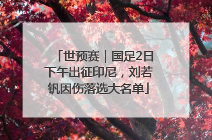 世预赛｜国足2日下午出征印尼，刘若钒因伤落选大名单