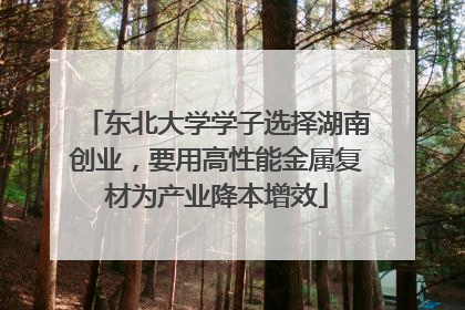 东北大学学子选择湖南创业，要用高性能金属复材为产业降本增效