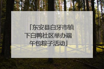 东安县白牙市镇下白鸭社区举办端午包粽子活动