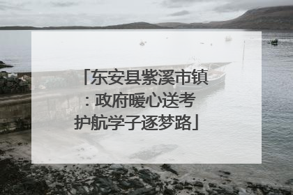 东安县紫溪市镇：政府暖心送考 护航学子逐梦路