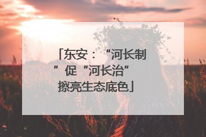 东安：“河长制”促“河长治” 擦亮生态底色