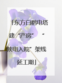 东方白鹳电塔建“产房” “陕电入皖”架线延工期