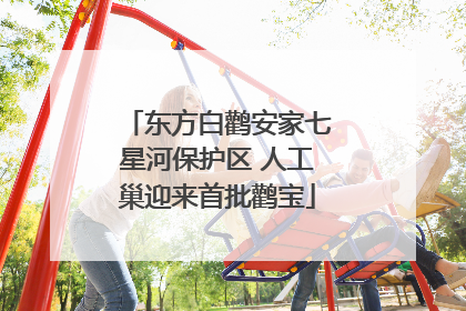 东方白鹳安家七星河保护区 人工巢迎来首批鹳宝