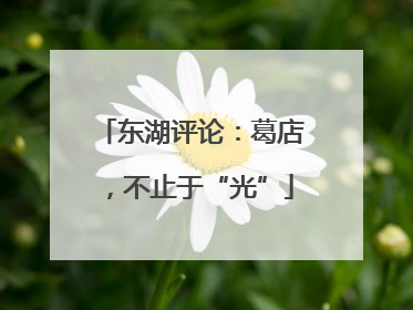 东湖评论：葛店，不止于“光”