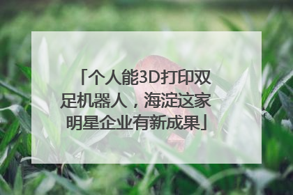 个人能3D打印双足机器人，海淀这家明星企业有新成果