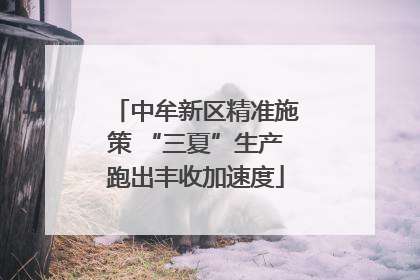 中牟新区精准施策 “三夏”生产跑出丰收加速度