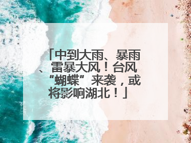 中到大雨、暴雨、雷暴大风！台风“蝴蝶”来袭，或将影响湖北！
