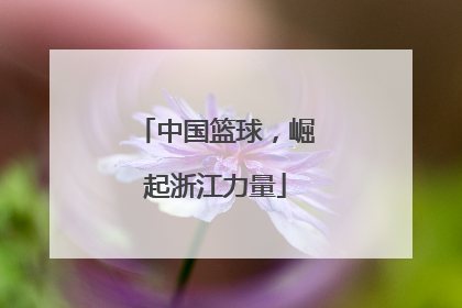 中国篮球，崛起浙江力量