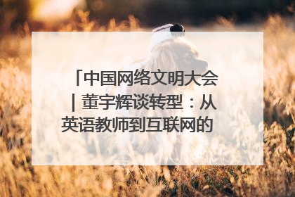 中国网络文明大会｜董宇辉谈转型：从英语教师到互联网的“秦腔”之路