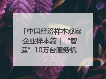 中国经济样本观察·企业样本篇｜“智造”10万台服务机器人，“小巨人”擎朗有大梦想