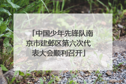 中国少年先锋队南京市建邺区第六次代表大会顺利召开