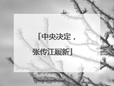 中央决定，张传江履新
