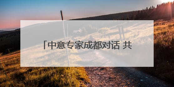 中意专家成都对话 共探文化遗产保护实践