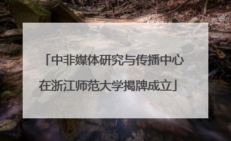 中非媒体研究与传播中心在浙江师范大学揭牌成立