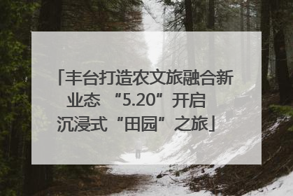 丰台打造农文旅融合新业态 “5.20”开启沉浸式“田园”之旅