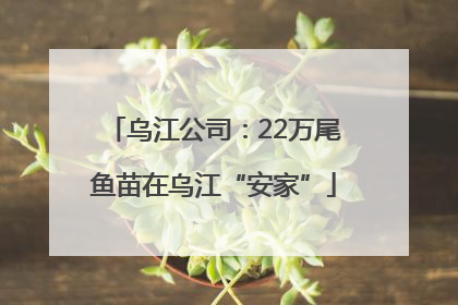 乌江公司：22万尾鱼苗在乌江“安家”