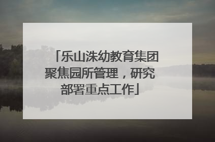 乐山洙幼教育集团聚焦园所管理，研究部署重点工作