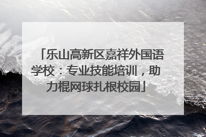 乐山高新区嘉祥外国语学校：专业技能培训，助力棍网球扎根校园