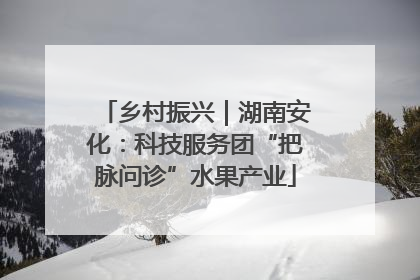 乡村振兴｜湖南安化：科技服务团“把脉问诊”水果产业
