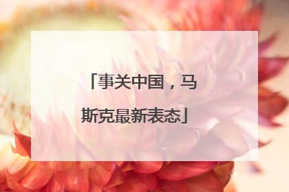事关中国，马斯克最新表态