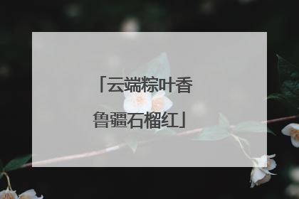 云端粽叶香 鲁疆石榴红