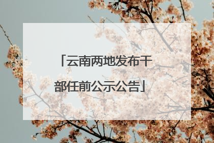 云南两地发布干部任前公示公告
