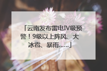 云南发布雷电Ⅳ级预警！9级以上阵风、大冰雹、暴雨……