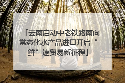 云南启动中老铁路南向常态化水产品进口开启“鲜”速贸易新征程