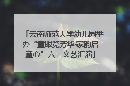 云南师范大学幼儿园举办“童眼览芳华·家韵启童心”六一文艺汇演