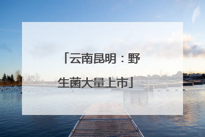 云南昆明：野生菌大量上市