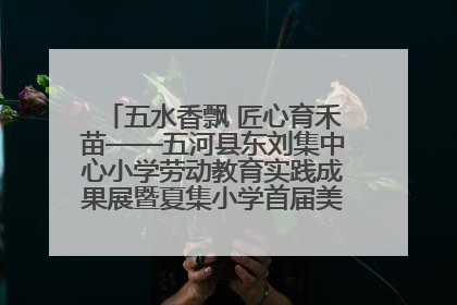 五水香飘 匠心育禾苗——五河县东刘集中心小学劳动教育实践成果展暨夏集小学首届美食节盛大举行