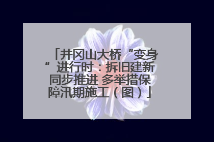 井冈山大桥“变身”进行时：拆旧建新同步推进 多举措保障汛期施工（图）