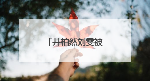 井柏然刘雯被曝已领证！网友集体送祝福