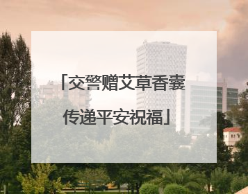 交警赠艾草香囊 传递平安祝福