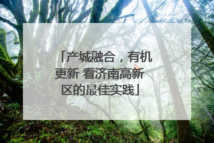 产城融合，有机更新 看济南高新区的最佳实践