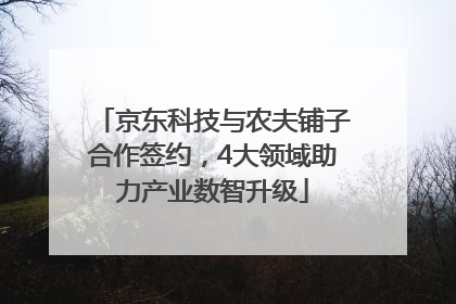 京东科技与农夫铺子合作签约，4大领域助力产业数智升级