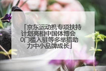 京东运动携专项扶持计划亮相中国体博会 0门槛入驻等多举措助力中小品牌成长