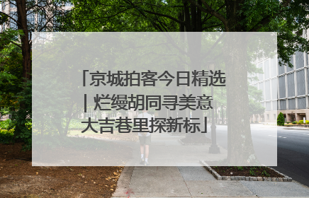 京城拍客今日精选｜烂缦胡同寻美意 大吉巷里探新标